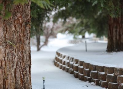 Get Commercial and Residential Irrigation System Winterization!