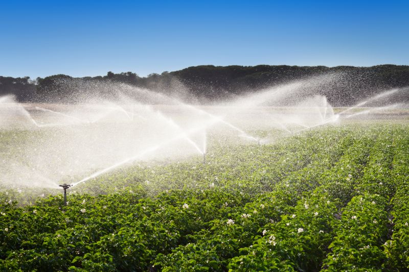 Field Irrigation Installation in Honolulu, HI