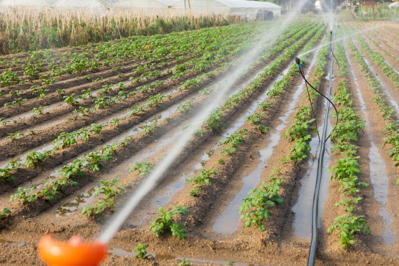 Irrigation System Replacement in Aiken, SC