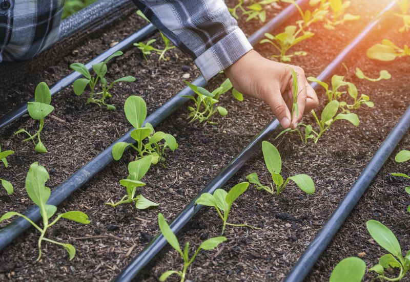 Underground Irrigation Service in Honolulu, HI