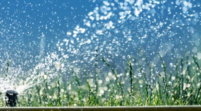 Sprinkler Winterization