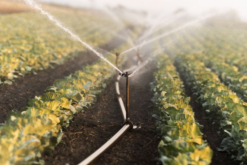 Field Irrigation Installation in Honolulu, HI