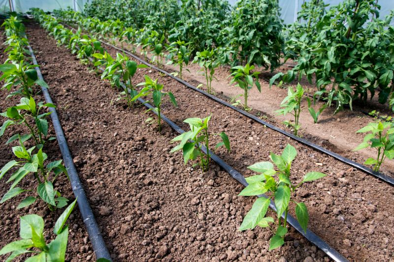 Garden Irrigation Installation in Aiken, SC
