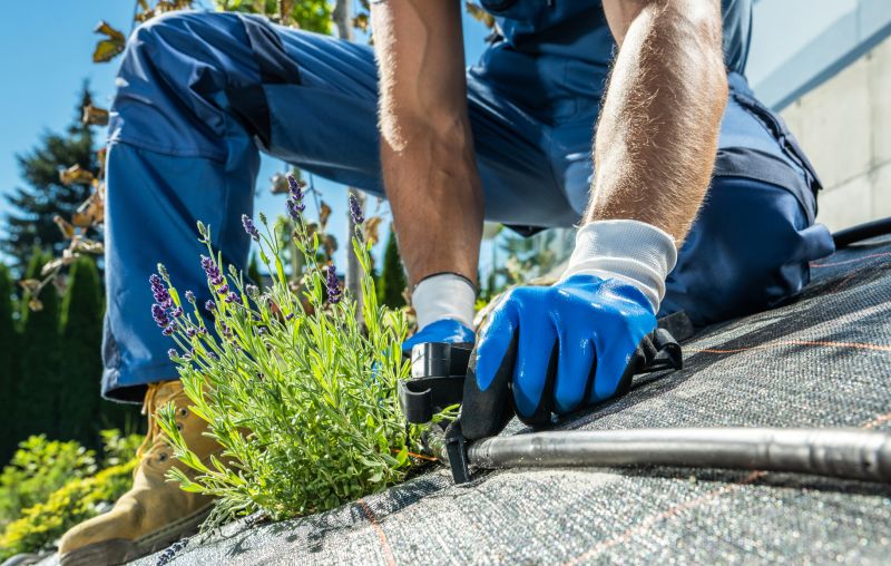 Garden Irrigation Installation in Honolulu, HI