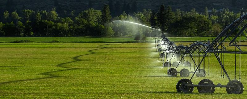Garden Irrigation Installation in Ventura County, CA