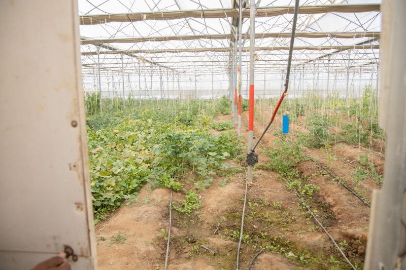 Inground Irrigation Service in Ventura County, CA