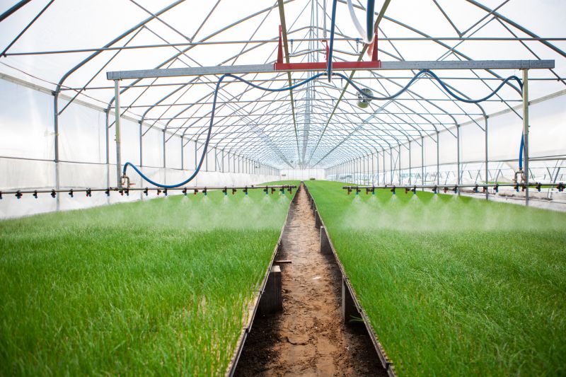 Irrigation Installation in Ventura County, CA