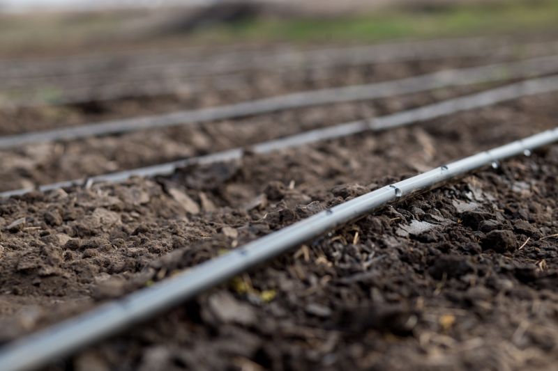Irrigation Installation in Ventura County, CA