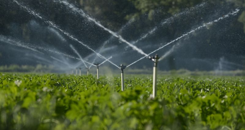 Lawn Irrigation Installation in Aiken, SC