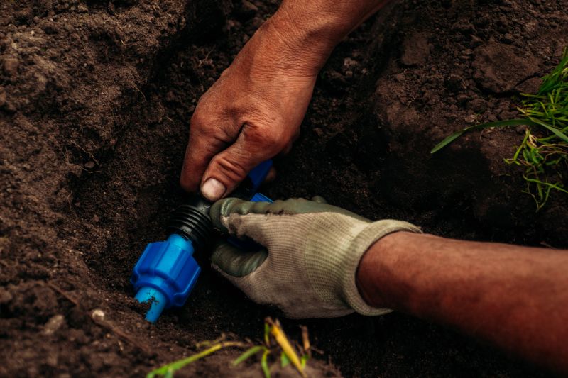 Plant Irrigation Installation in Honolulu, HI