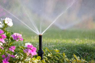 Pop Up Sprinklers Repair in Aiken, SC