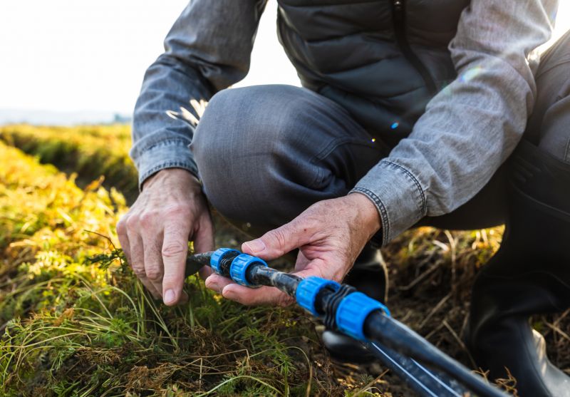 Sprinkler Plumbing Repair in Honolulu, HI