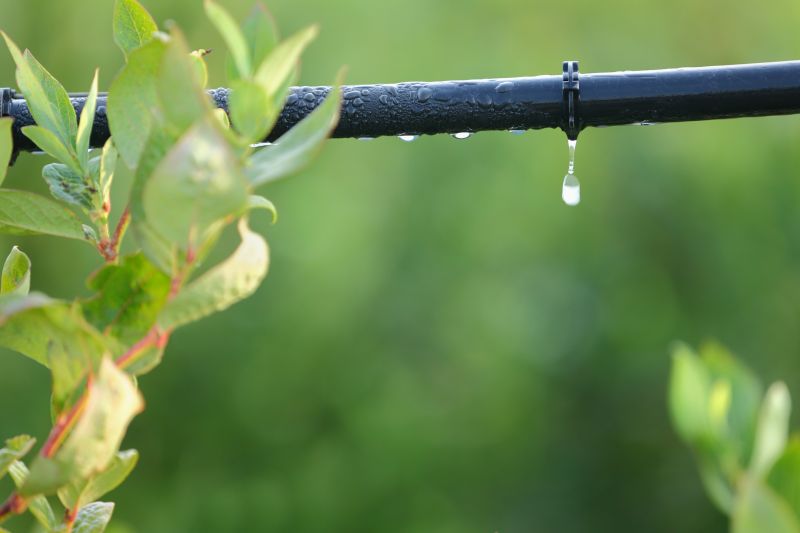 Underground Irrigation Service in Honolulu, HI
